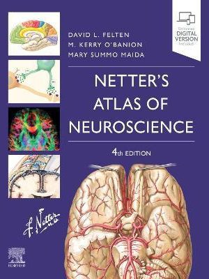 Netter's Atlas of Neuroscience 4th Edition