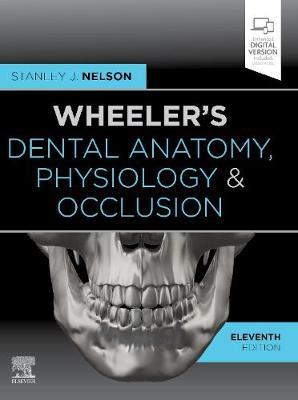 Wheeler's Dental Anatomy Physiology and Occlusion 11th Edition