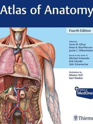 Atlas of Anatomy 4th Edition - 9781684202034