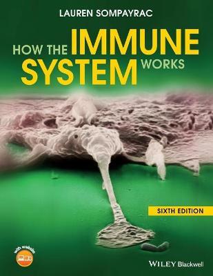 How the Immune System Works 6th Edition - 9781119542124