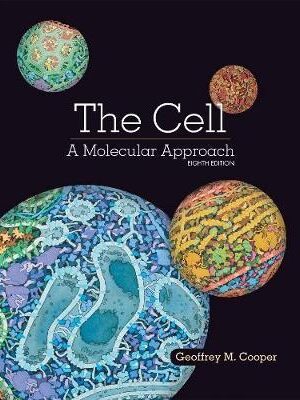 The Cell: A Molecular Approach 8th Edition - 9781605357072