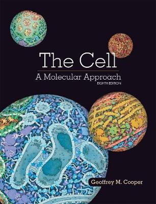 The Cell: A Molecular Approach 8th Edition - 9781605357072