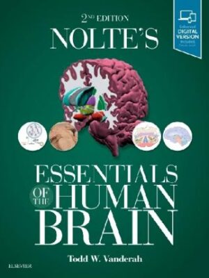 Nolte's Essentials of the Human Brain 2nd Edition - 9780323529310