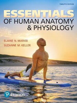 Essentials of Human Anatomy & Physiology 12th Edition - 9780134395326