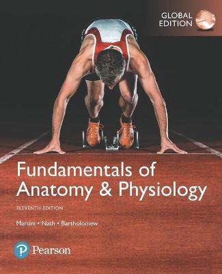Fundamentals of Anatomy & Physiology 11th Edition (Global Edition) - 9781292229867